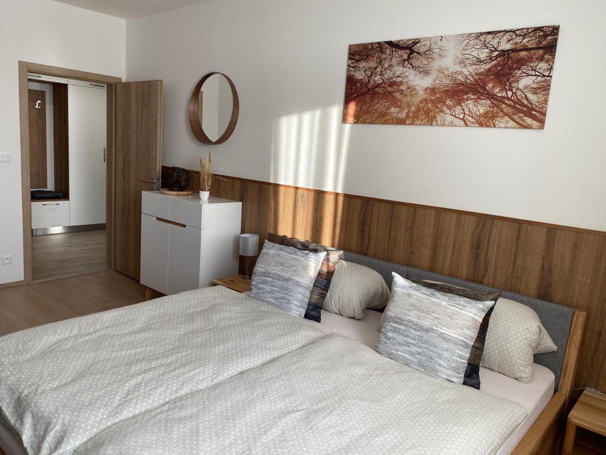 Apartment Petra Klinovec Loučná pod Klínovcem Eksteriør bilde